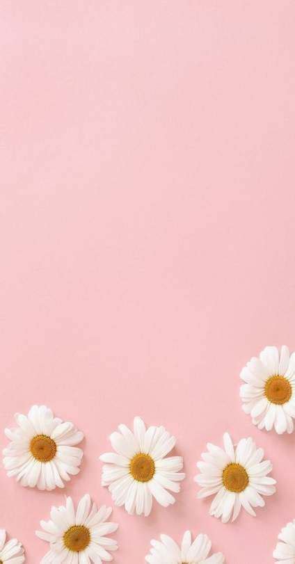 63 Ideas For Wallpaper Phone Pastel Flowers Wallpapers Flower Phone