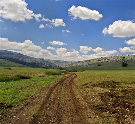 Canse La Pista Y Las Roderas En Camino De Tierra Imagen De Archivo