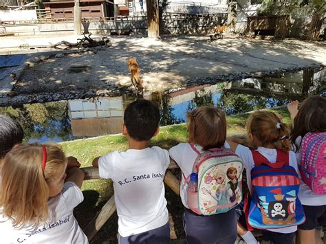 Las Clases De Cinco Años De Paseo Por El Zoo