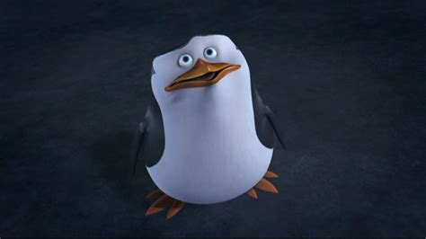 Some Pictures Of Skipper Skipper The Penguins Of Madagascar Photo