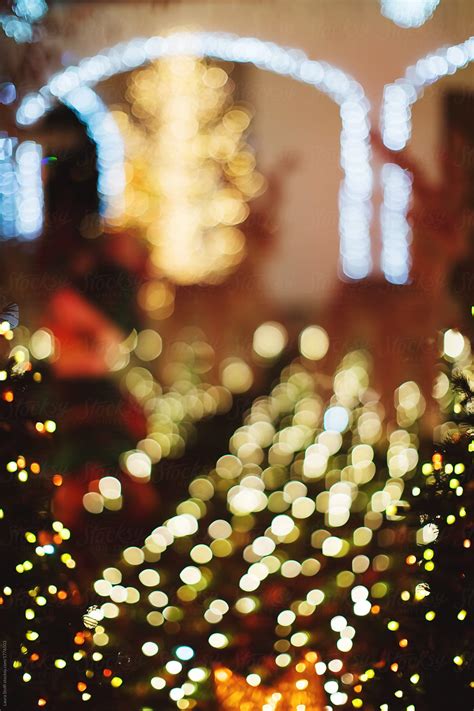 Many Blurry Christmas Lights In Front Of House By Laura Stolfi Bokeh