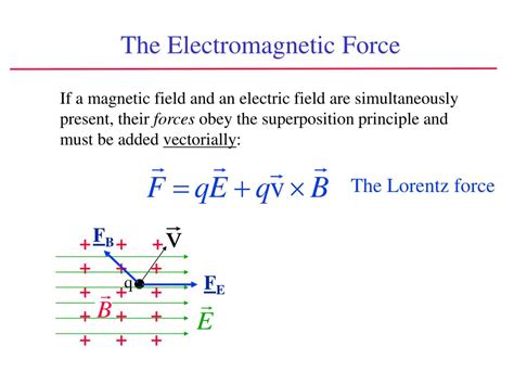 PPT - Magnetic Fields Chapter 29 (continued) PowerPoint Presentation ...