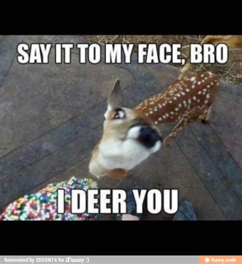 Funny Deer Funny Pictures Funny Animal Pictures Funny Commercials