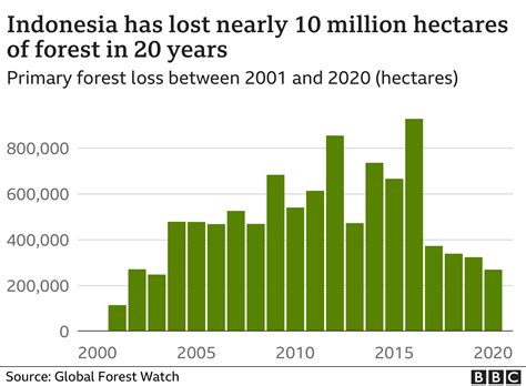 Indonesia Termasuk Negara Pembabat Hutan Terbanyak Menteri Lhk