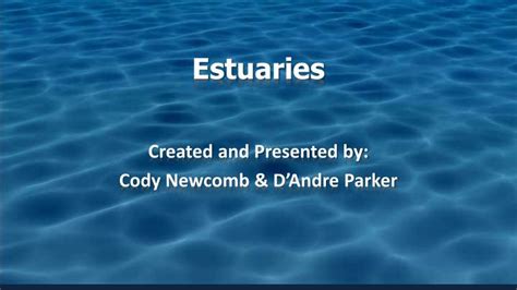 Ppt Estuaries Powerpoint Presentation Free Download Id5883972