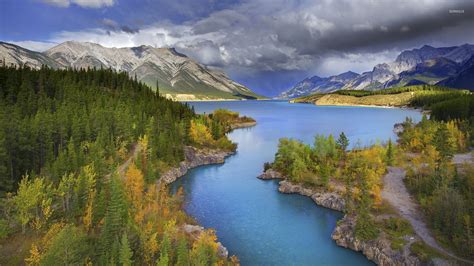 Autumn Forest On The Abraham Lake Side Wallpaper Nature Wallpapers