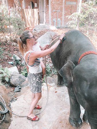Get the reviews & ratings at inspirock along with details of location, timings and map of experience up close one of the living symbols of thailand at kokchang safari elephant trekking. KokChang Safari Elephant Trekking (Kata Beach) - 2019 All ...