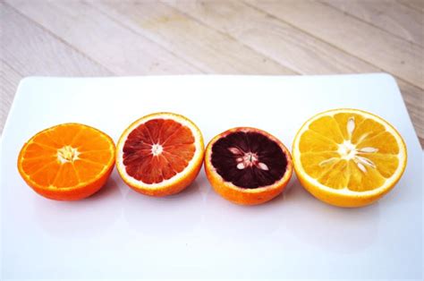 types of oranges color chart