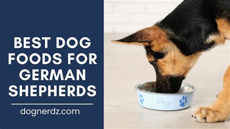 9 Best Dog Food For German Shepherds In 2024 Dog Nerdz