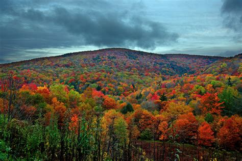 Colorful Autumn Mountain Foliage Free Nature Pictures By