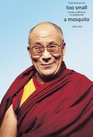 From the time of the 5th dalai lama to 1959, the central government of tibet, the ganden phodrang, invested the position of dalai lama with temporal duties. Mosquito Dalai Lama Quotes. QuotesGram