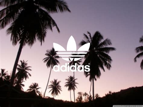 Adidas Palm Trees Background Ultra Hd Desktop Background Wallpaper For 4k Uhd Tv Widescreen