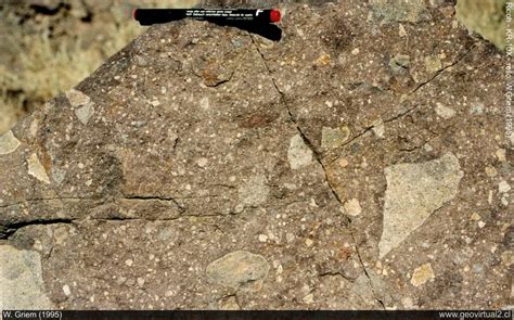 Geología Brecha Sedimentaria Una Roca Sedimentaria Clástica