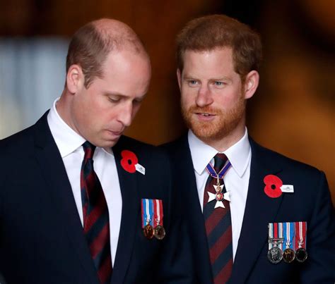 His mother mary arden was gentry. How Prince William Really Feels About Prince Harry and ...