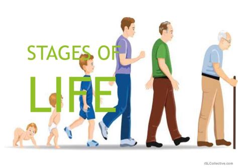 Generations Ages And Stages Of Life English Esl Powerpoints