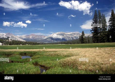 Sub Alpine Meadow Stock Photo Alamy