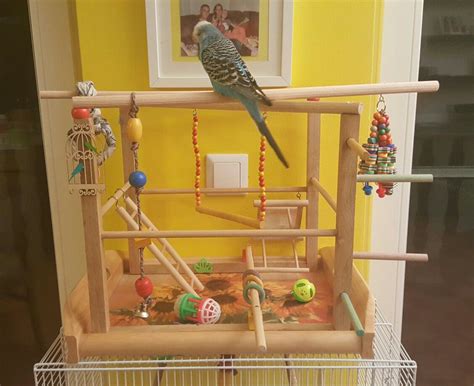Cut pieces of pvc pipe to the lengths needed for. My homemade budgie playground | Budgies, Bird care, Pet care
