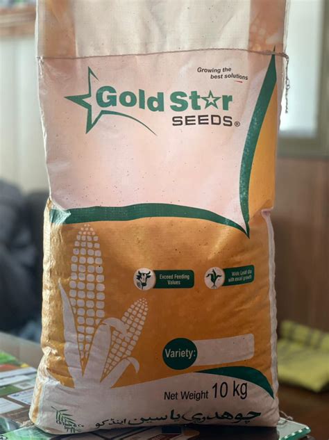 Gold Star Corn Seeds Agcommerce