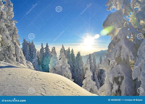 Amazing Winter Panorama Stock Image Image Of Blue Frosty 48680387