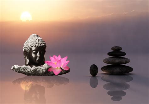 Banco De Imagens Luz Manhã Reflexão Equilibrar Meditar Budismo