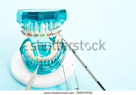Orthodontic Model Dentist Tool Demonstration Teeth Stock Photo Edit