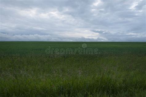 Dark Clouds Over Field With Grass Stock Image Image Of Land Field