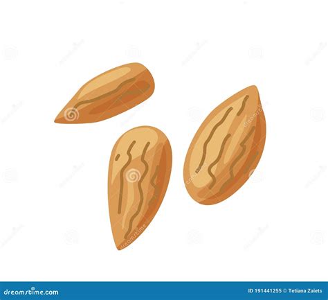 Three Almond Nuts In Bright Color Cartoon Flat Style Isolated On White