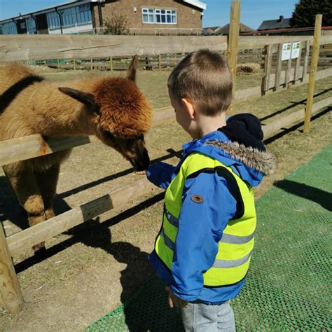 Little Twinkles Childcare Nunnys Farm