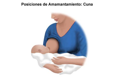 Lactancia Materna Posiciones Como Amamantar Posiciones Para La