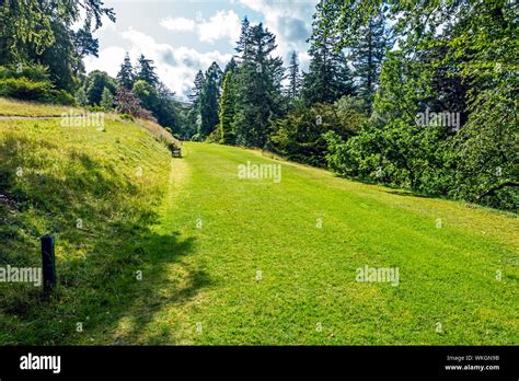 Open Area In Dawyck Botanic Garden Stobo Near Peebles Scottish Borders