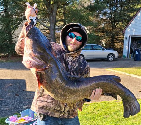 Cecil County Angler Catches Record Flathead Catfish