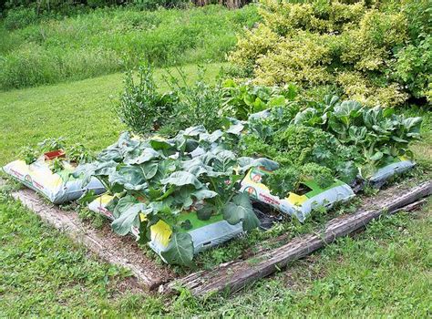 What The Heck Are Bag Gardens Walden Labs