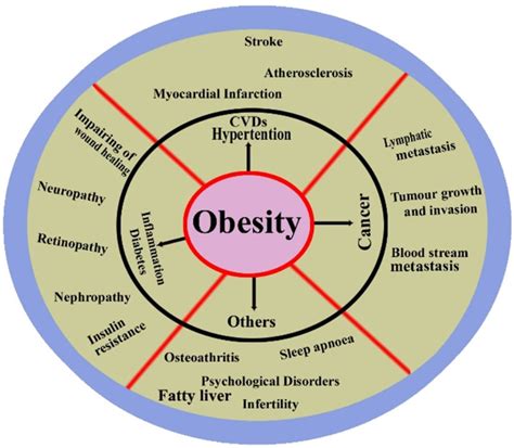 Obesity And Its Associated Morbidities Download Scientific Diagram