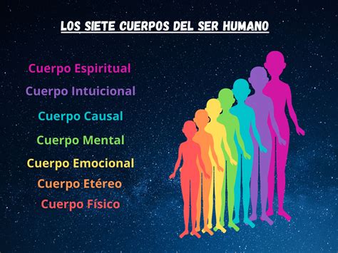 Elementos Del Ser Humano Kulturaupice