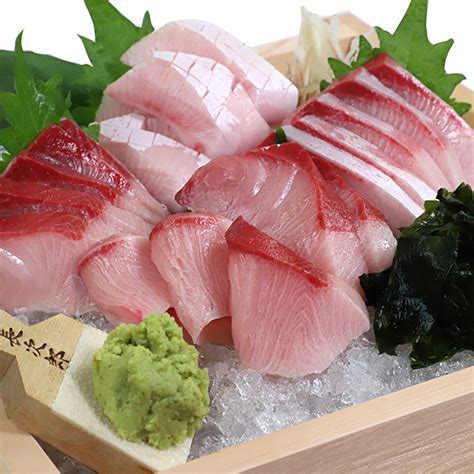 Chisai Tuna Sushi Kit Royal Sushi Selections Touch Of Modern