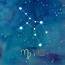 Star Sign Virgo Poster Print By Cynthia Coulter  Walmartcom