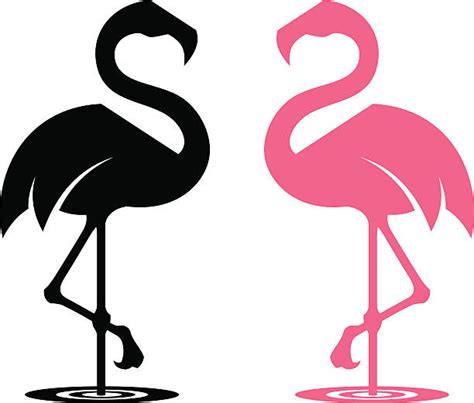 Plastic Flamingo Clip Art Vector Images And Illustrations Istock