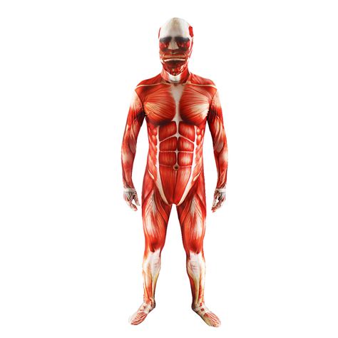 What do the various anatomy words used to name muscles mean? Attack On Titan Men Cosplay Muscular Suit