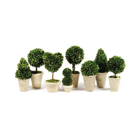 Sculptura Boxwood Topiaries In 2021 Boxwood Topiary Preserved