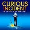 REVIEW: The Curious Incident of the Dog in the Night-Time, Piccadilly ...