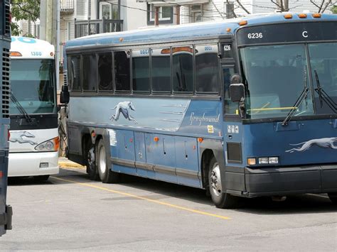 Greyhound Canada Permanently Shutting Down Bus Service The Kingston