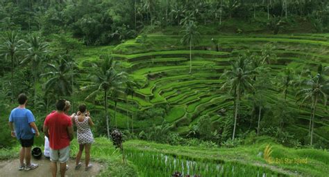 Tegalalang Rice Terrace Bali Places Of Interest