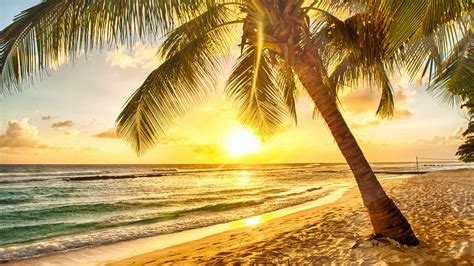 Tropical Paradise Beach Palms Sea Wallpapers Full Hd Desktop