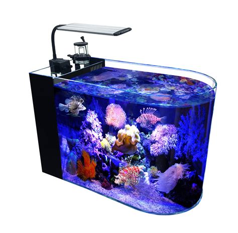 Buy 12 Gallon Saltwater Aquarium U Shaped Low Iron Ultra Clear Glass