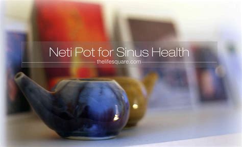 Diy Neti Pot Examples And Forms