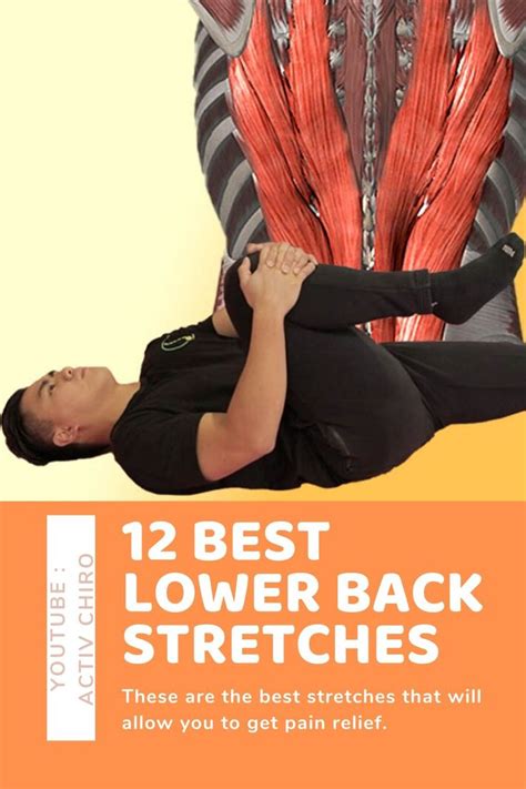An Image Of A Man Doing Back Stretches With The Caption12 Best Lower