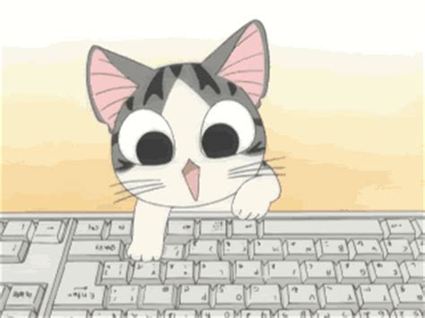 Scroll for cat typing meme memes. Perfil de glor