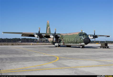 16802 Portugal Air Force Lockheed C 130h Hercules At