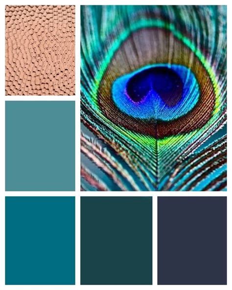 A Comprehensive Overview On Home Decoration Teal Color Palette Teal