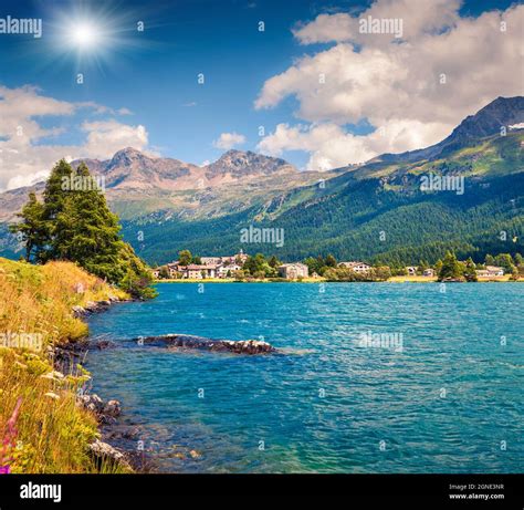 Summer Sunny View Of Sils Im Engadin Village Colorful Outdoor Scene On